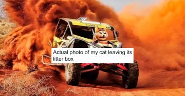 Animals and memes go together like peanut butter and jelly (31 Photos)