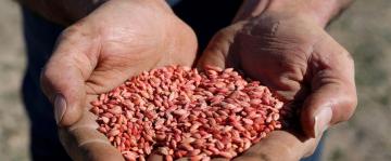 Australia suspends WTO case against China on barley tariffs