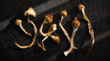How to Eat Magic Mushrooms Without Gagging