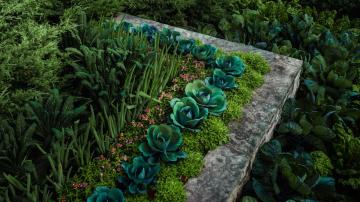 Why 'Foodscaping' Is Better Than Regular Landscaping