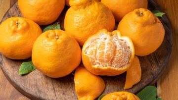 Freeze This Fancy Citrus Fruit Before the Season Ends