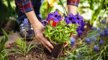Rearrange Your Garden by Using 'Hidden' Pots