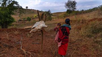 India's stretched health care fails millions in rural areas