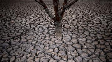 Spain's Sánchez warns drought now a major national concern