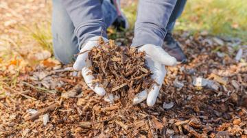 Where to Get Gardening and Landscaping Materials for Free or Cheap