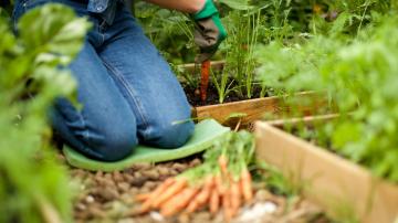 Gardening Doesn't Have to Wreck Your Body