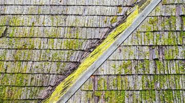 You Can Get Rid of Mold on Your Roof (and Stop It From Coming Back)