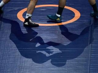 Wrestlers Not On Protest Demand Resumption Of National Training Camp