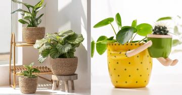10 Indoor Planters and Pots to Liven Up Your Space