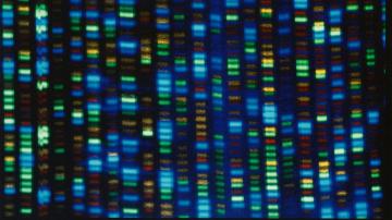 DNA "reference guide" expanded to reflect human diversity