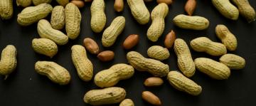 A skin patch to treat peanut allergies? Study in toddlers shows promise
