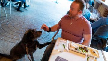 Government says dogs can dine al fresco but not everyone is on board