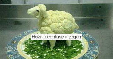 Vegan memes, whether you asked for them or not (24 Photos)