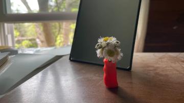 Ask Your Kid to Make a Tiny Vase for the Flowers They Keep Picking for You