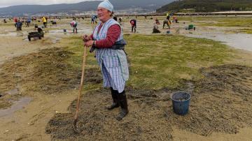 AP PHOTOS: As Spain's 'peasant farmers of the sea,' groups of women dig for clams