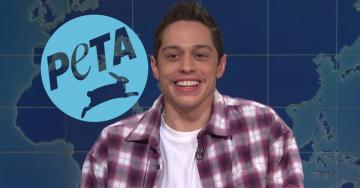 PETA starts insane feud with Pete Davidson all over buying a dog (8 Photos)