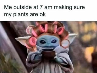 A Green Thumbs up to These Plant Memes! (23 Photos)