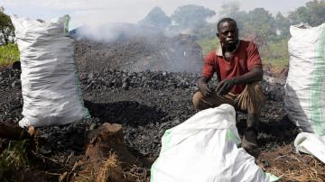 In Uganda, a recent ban on charcoal making disrupts a lucrative but destructive business