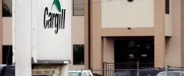Agribusiness giant Cargill not doing enough to fight deforestation, protect human rights, group says