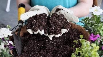 Why You Don’t Need to Sterilize Your Soil