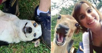 Animals are the funniest part of the internet. Change my mind. (52 Photos)
