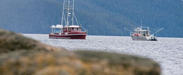 King salmon season back on in Alaska after federal appeals court lets fishery open July 1