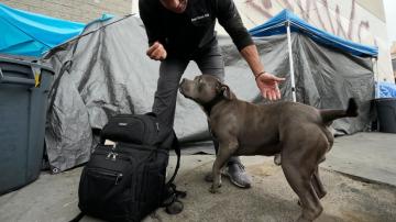 Nearly 1/3 of the US homeless population lives in California. This veterinarian cares for the pets