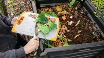 The Five Laziest Ways to Compost