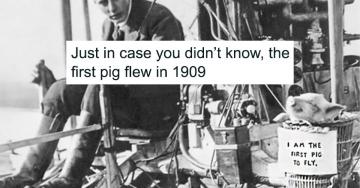 History memes that are factually hilarious (30 Photos)