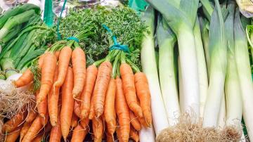 The Best Vegetables to Grow in the Shade