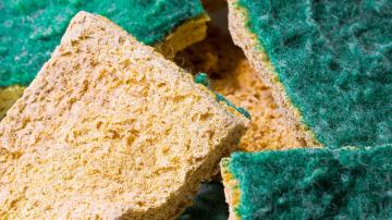 Use Salt to Revive Your Kitchen Sponge