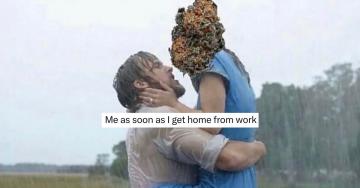 Weed memes to soak in with red eyes while sitting on a comfy couch (28 Photos)