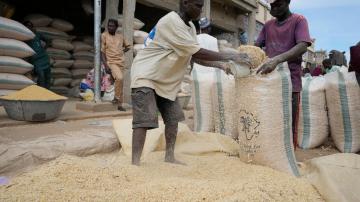 Climate and violence hobble Nigeria's push to rely on its own wheat after the hit from Russia's war