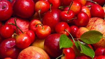 My Three Favorite Tools for Processing Summer Fruit