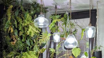 You Can DIY Better (and Prettier) Grow Lamps