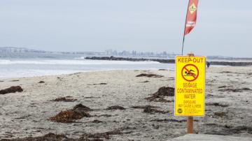 Avoid These Beaches With Too Much Poop