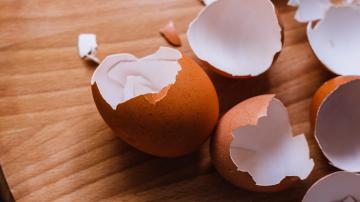 How to Break Out of Eggshell Parenting