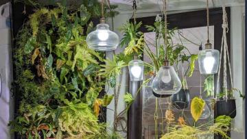 Make an Automatically Watering Plant Wall With Your Washing Machine