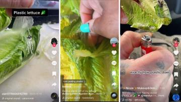 TikTok Myth of the Week: There's Plastic on Your Lettuce