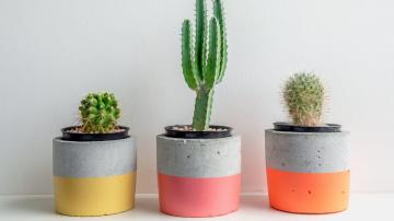 Use Plastic Flowerpots to Make DIY Cement Planters