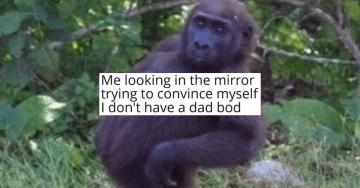 Memes for the dads to enjoy on a relaxing afternoon (30 Photos)