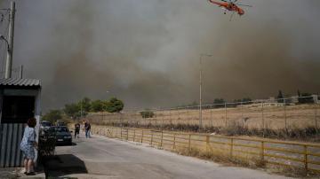 European firefighters join battle against wildfires that have left 20 dead in Greece