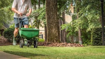 Now Is the Best Time to Seed Your Lawn