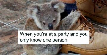 Dating for introverts is at least a good entertainment value (34 Photos)