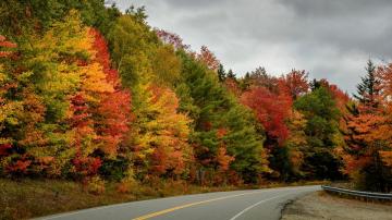 This Map Predicts Peak Fall Foliage Across the US