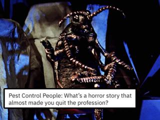 16 pest control stories sure to give us the creeps
