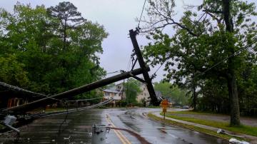 What to Do When You See a Downed Power Line
