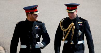 All the Dashing Royal Wedding Pictures of Prince Harry and His Best Man, Prince William