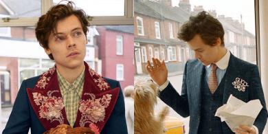 Harry Styles Posed with Puppies and a Chicken in His New Gucci Campaign Pictures