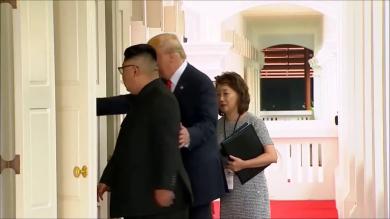 Donald Trump Meets Kim Jong Un Bad Lip Reading